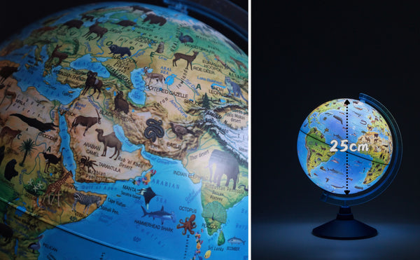 Exerz 25cm Zoo-Geo Illuminated Globe -Physical and Zoo Dual Map